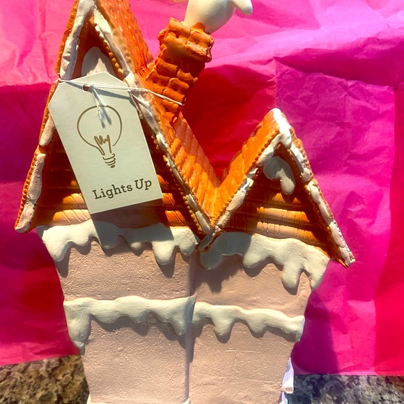 Light up Halloween Pink Faux Iced Cookie Haunted House w/ghost & Spiders! NWT - Picture 7 of 11